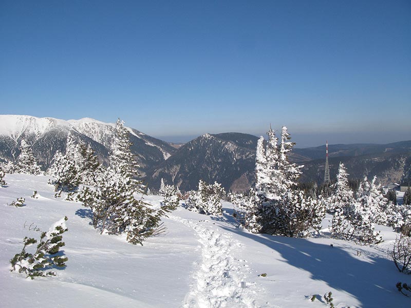 gruenschacher